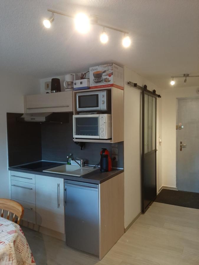 Studio Renove, Calme Avec Terrasse S-O, Prestations De Qualite - Residence Les Adraits Les Rousses Εξωτερικό φωτογραφία